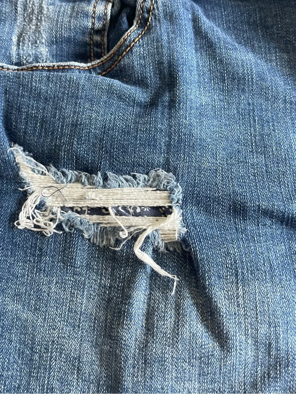 Maurices- Distressed Denim Women's Shorts